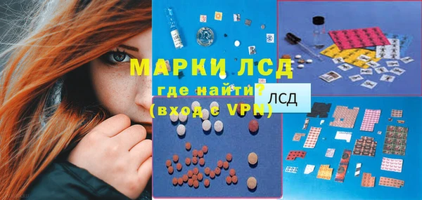 сатива Зеленокумск