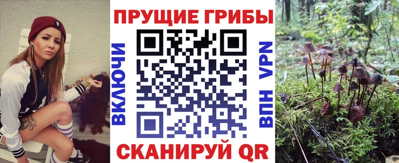 mega   цены   Рыбное  Галлюциногенные грибы MAGIC MUSHROOMS 