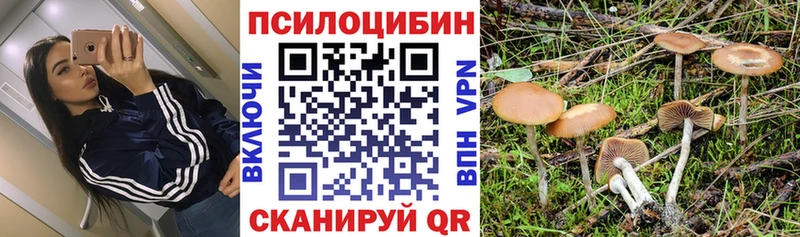 Псилоцибиновые грибы Psilocybine cubensis Рыбное